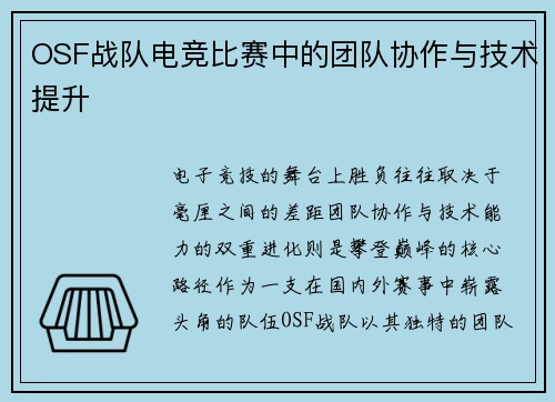 OSF战队电竞比赛中的团队协作与技术提升