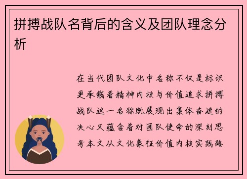 拼搏战队名背后的含义及团队理念分析